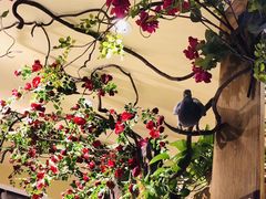 -北京老门框爆肚涮肉馆(凤城六路店)