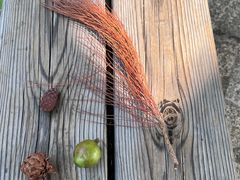 -云碧峰国家森林公园