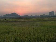 -光明小镇欢乐田园