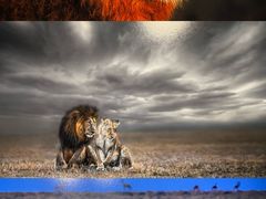 -罗红摄影艺术馆