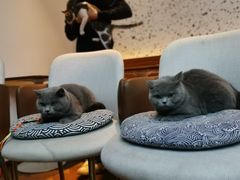 -Line 咖啡(石厦花园店)