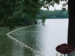 -大兴滨河森林公园