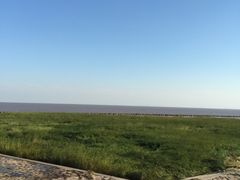环境-南汇嘴观海公园