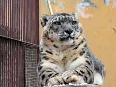 -青藏高原野生动物园