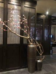 点击看大图 -盘子女人坊古装写真摄影(深圳店)