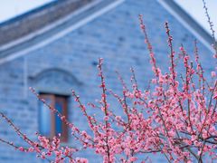 -东钱湖旅游度假区