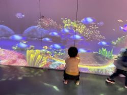 -小鸡哆哆故事屋·儿童乐园(嘉里城店)