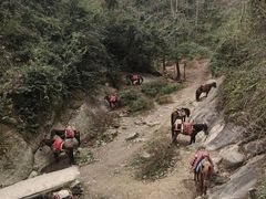-崀山风景名胜区