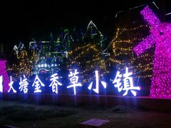 -大塘金香草谷