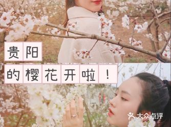 贵阳春游攻略｜樱花初绽日拍照打卡攻略