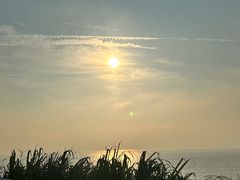-阿军排档·烧烤