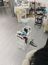 -星光兔·西扶海棠·写真馆(景德镇店)