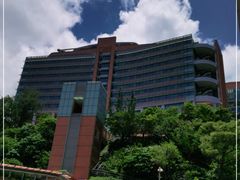 -香港大学