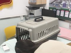 -宠福鑫康馨动物医院·骨科·眼科