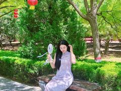 -大槐树寻根祭祖园
