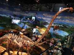 -自贡恐龙博物馆