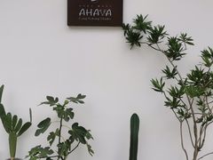 -AHAVA·Fang Baking Studio