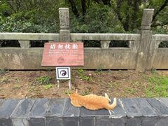 -句容茅山景区
