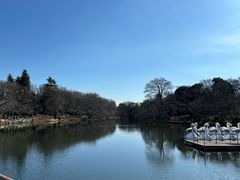 -井之头恩赐公园