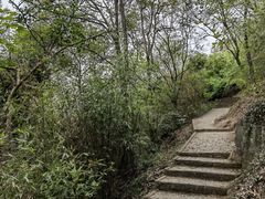 -上海佘山国家森林公园天马山园