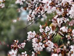 -武汉大学风雨操场