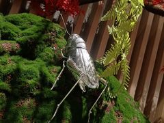 -东吴水韵(吴中店)