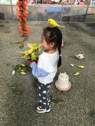 -萌宠亲子动物乐园(槐房万达店)