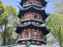 -上海佘山国家森林公园西佘山园