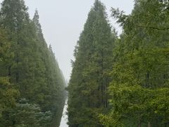 -黄海国家森林公园