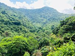 -梧桐山风景名胜区