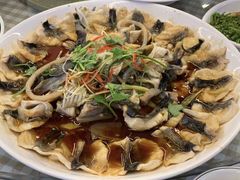 -京北渔家傲
