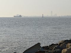 -吴淞炮台湾湿地森林公园烧烤区