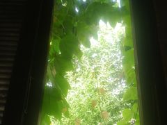-斯多格书乡(北京大学畅春园店)