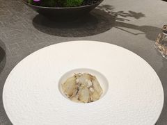 -新光酒家·河豚·海鲜·蟹料理(浦东店)