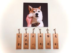 -柴犬小屋·柴餐厅·狗咖食堂(金鼎广场店)