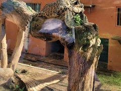 -青藏高原野生动物园