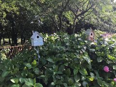 -上海共青森林公园