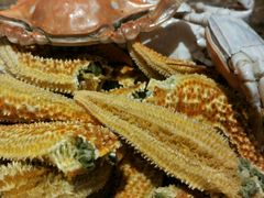 海鲜-青岛蓝海大饭店·爱琴海自助餐厅(崂山店)
