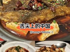 -眉州东坡(团结湖店)