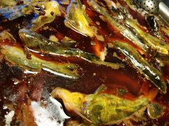 花鲢鱼头-花鲢鱼头火锅(春城东路店)