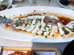 -船歌·鱼水饺青岛菜(金狮广场店)