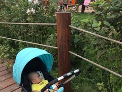 -渔岛海洋度假区