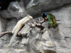 -Zoolung Zoolung动物主题公园(海信广场店)