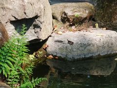 -乌山风景区