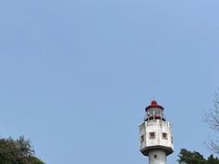 -涠洲岛香蕉鸡