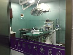 -宠爱国际动物医院· 猫科· 外科·中兽医(长白店)