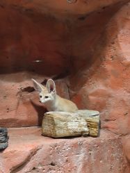 -Zoolung Zoolung动物主题公园(海信广场店)