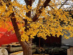 -北京石刻艺术博物馆(五塔寺)