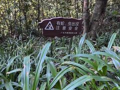 -天鹿湖森林公园