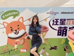 -金茂览秀城
